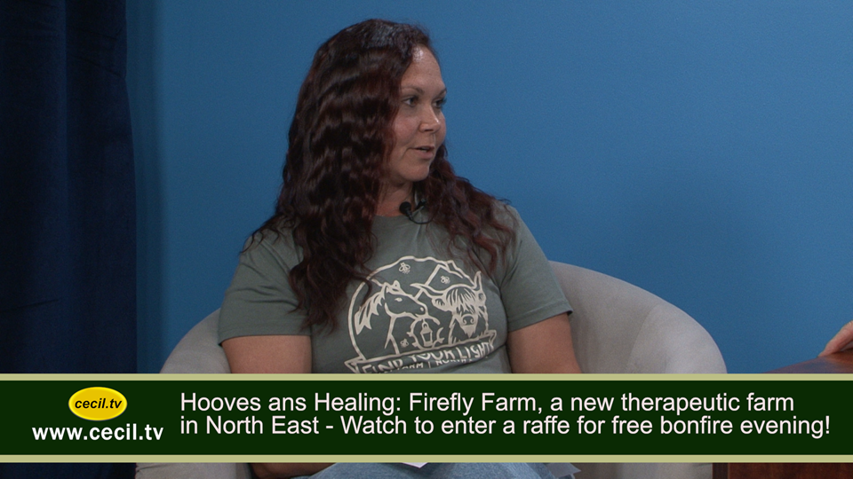 Hooves and Healing: FireFly Farm, a new therapeutic farm  in North East - Watch to enter a raffle for free bonfire evening!