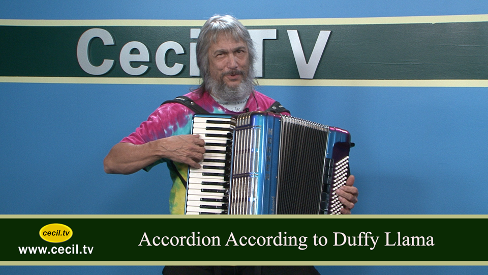 Accordion According to Duffy Llama