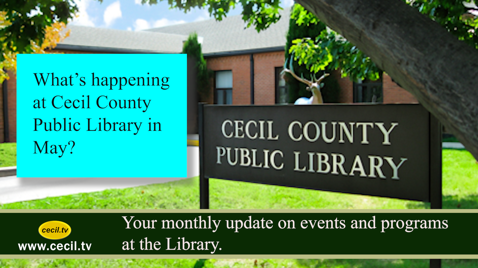 May 2025: Your monthly update on events and programs at the Library.